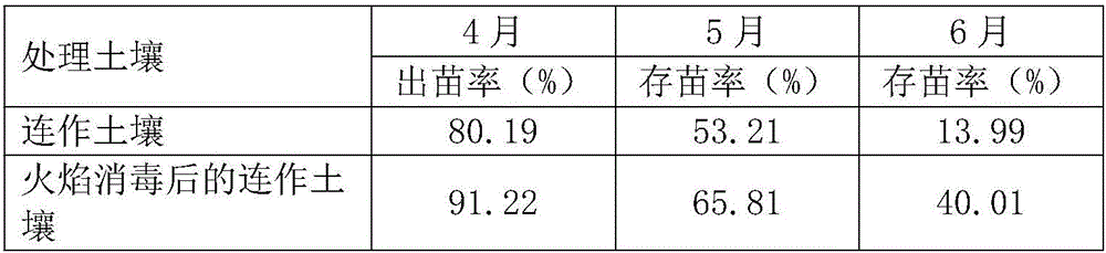 Radix notoginseng continuous cropping soil flame treatment method