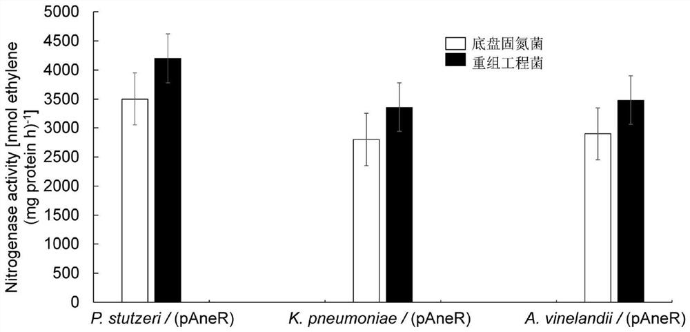 An artificial noncoding RNA module that enhances microbial nitrogen fixation