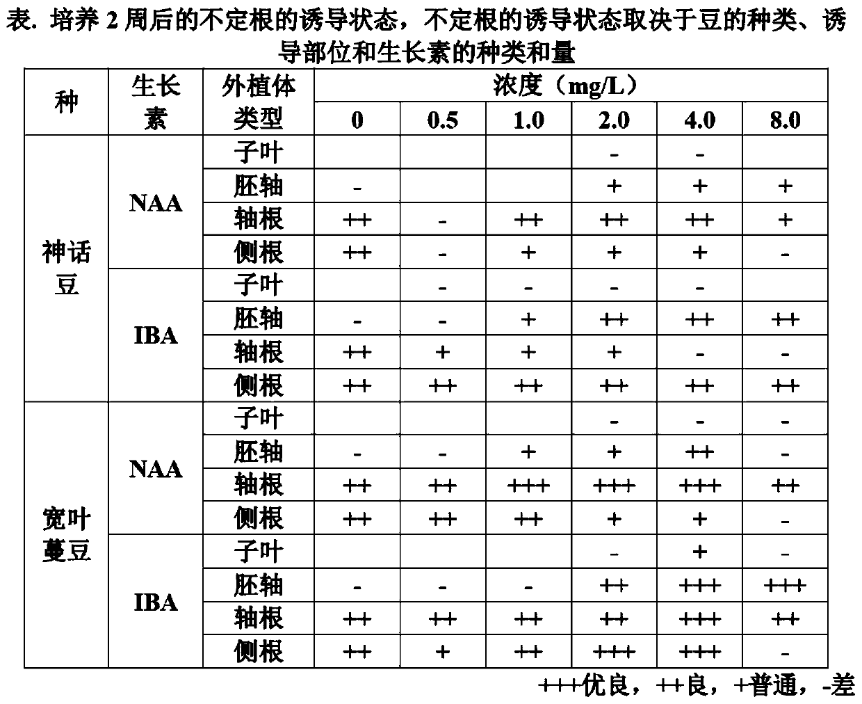 Culturing method for cultured leguminous roots having increased coumestrol content