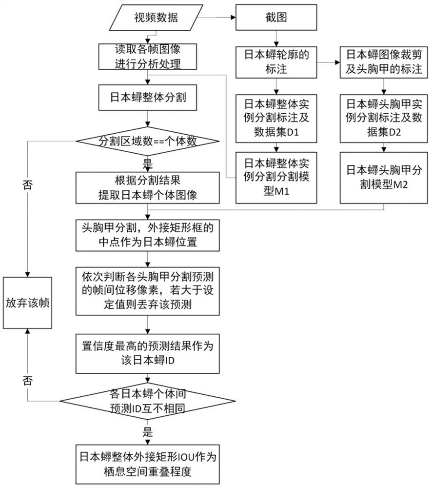 Charybdis japonica group behavior video analysis method based on instance segmentation