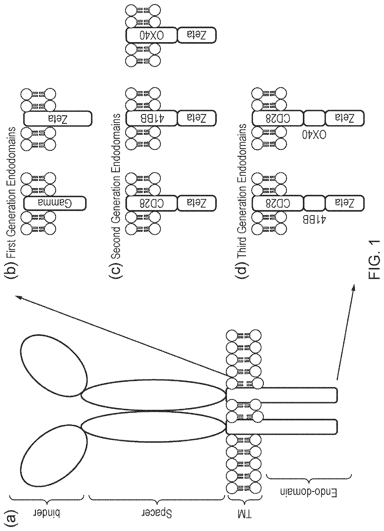 Signalling system