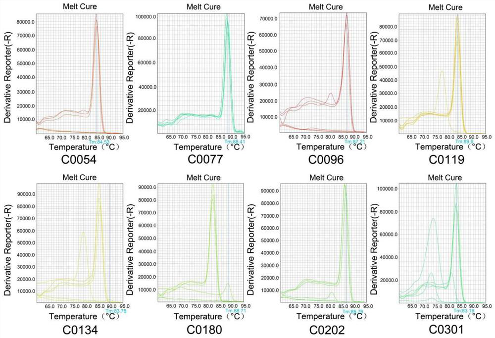 Radish genome SNP-Panel and application thereof