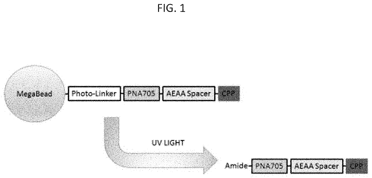 Peptide compositions and methods of use thereof