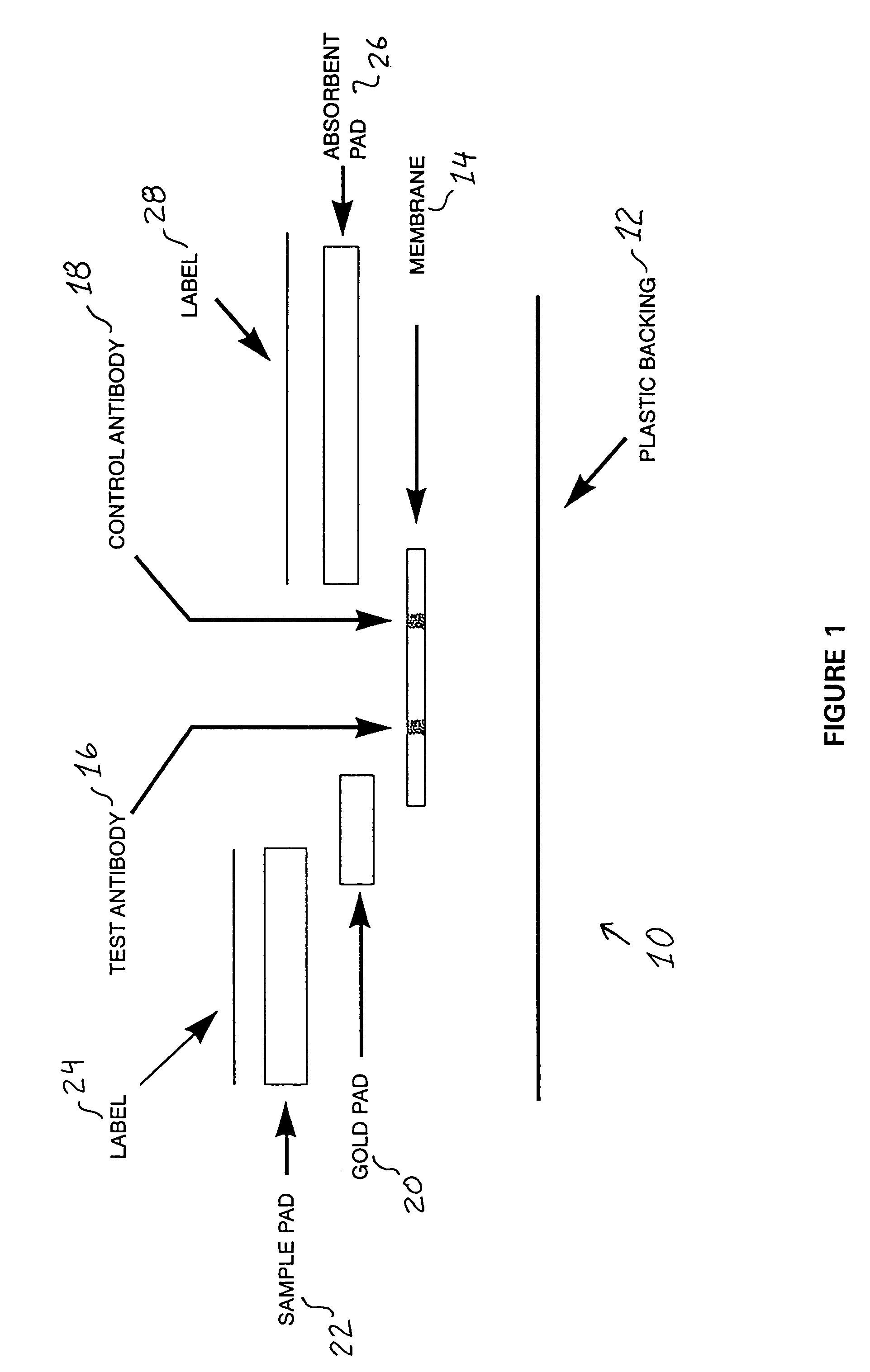 Immunoassay system