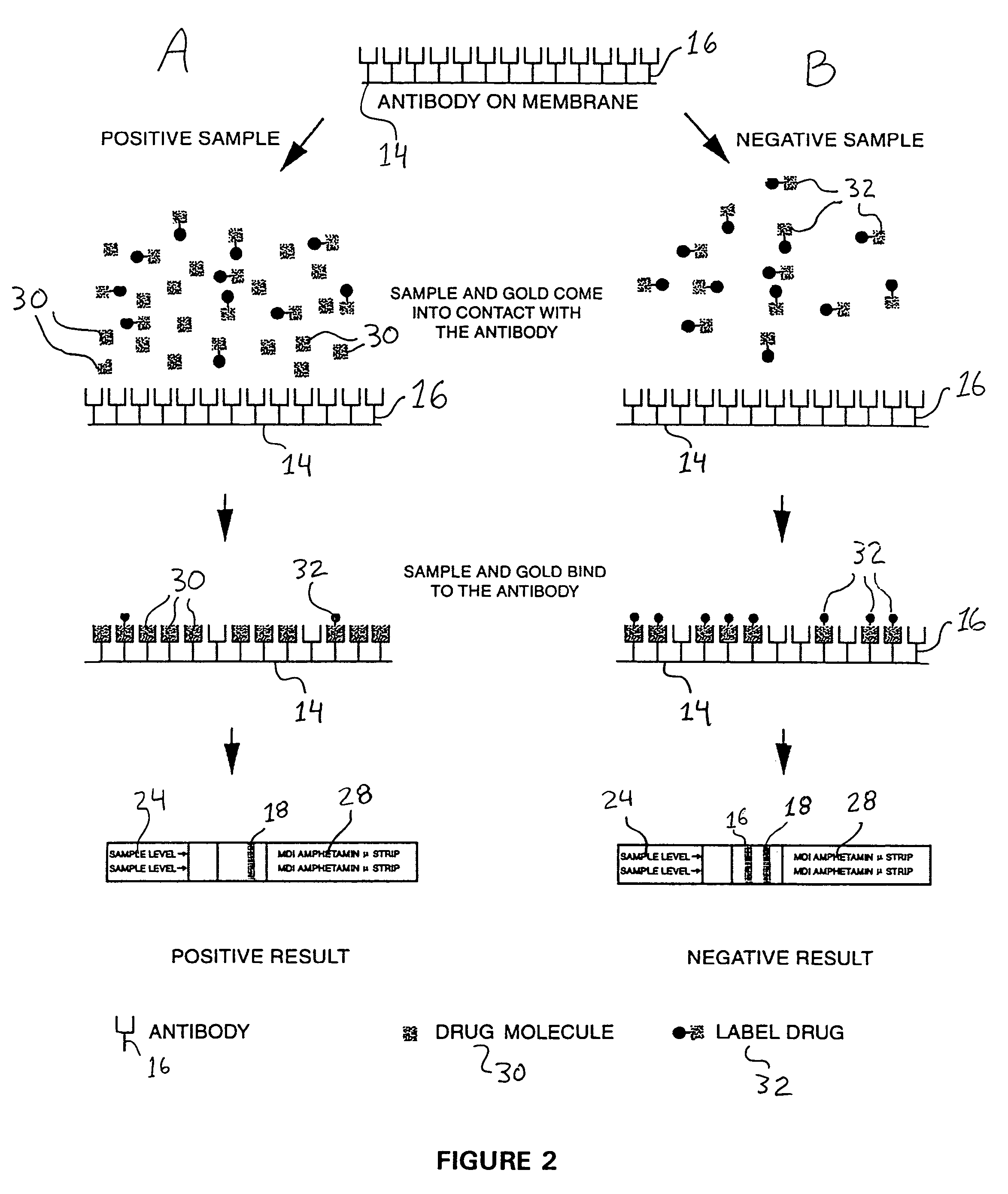 Immunoassay system