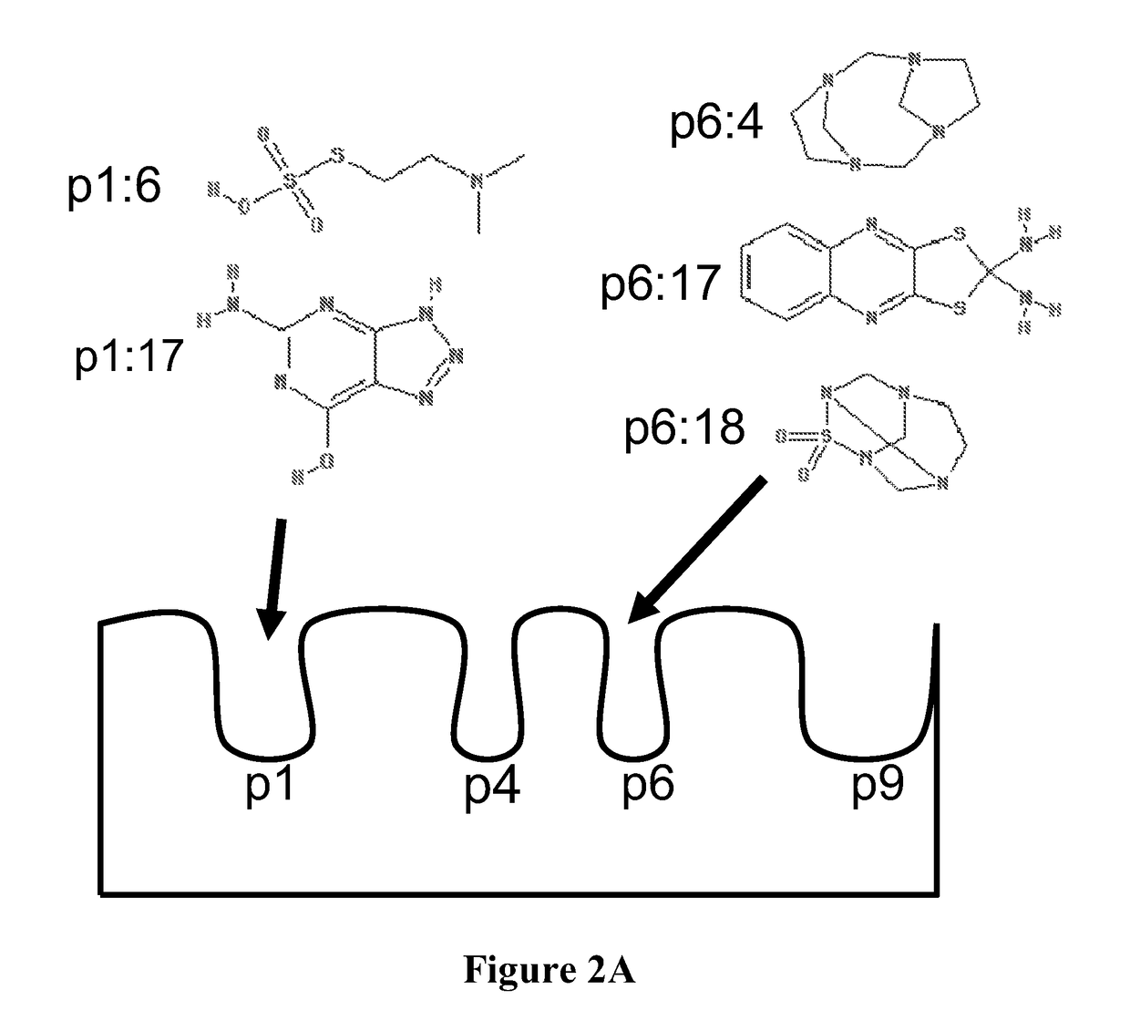 Compounds that modulate autoimmunity and methods of using the same