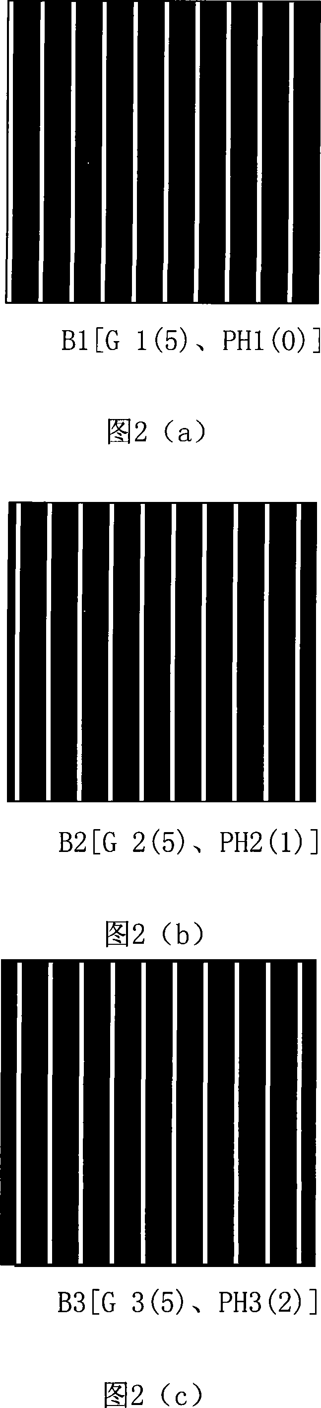 Bare hole visible liquid crystal raster stereoscopic picture display apparatus