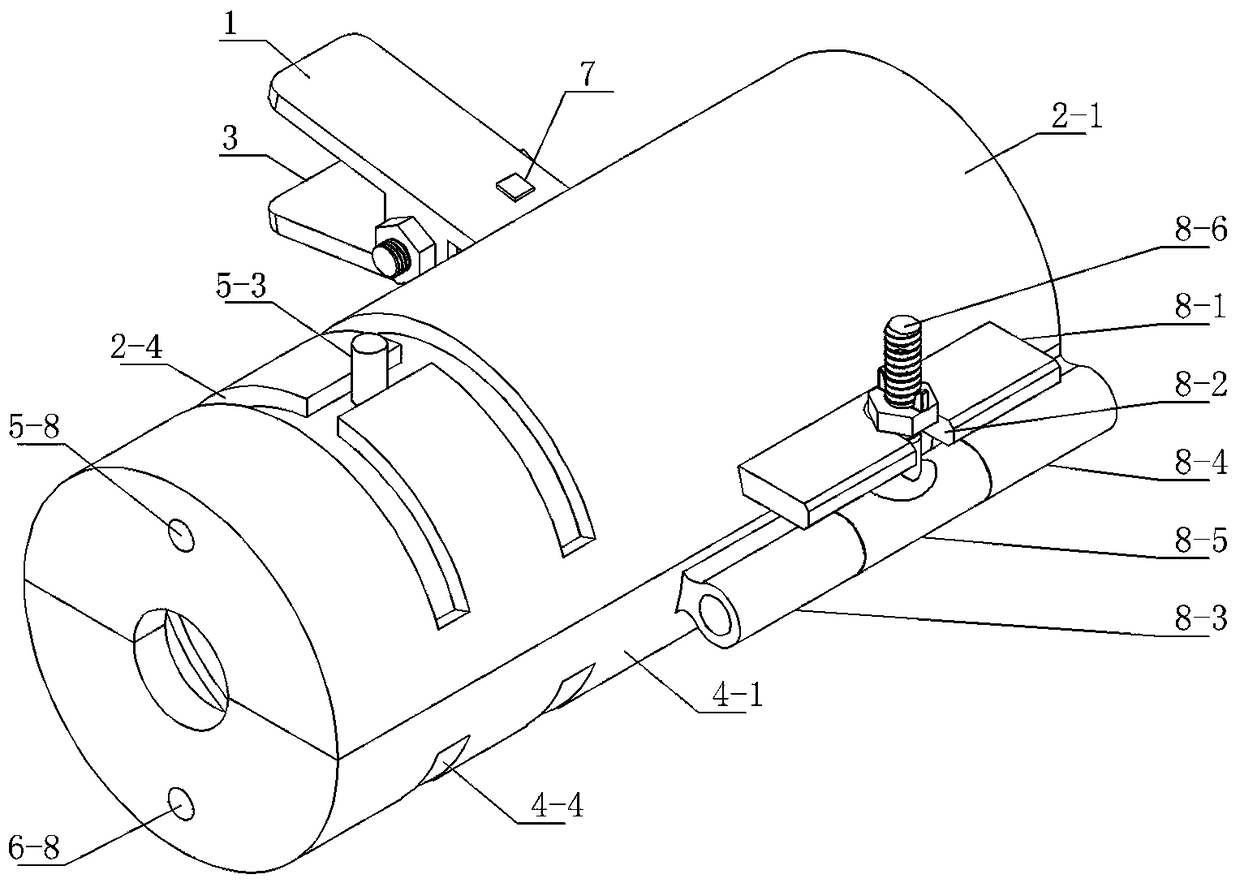 Lead polishing device