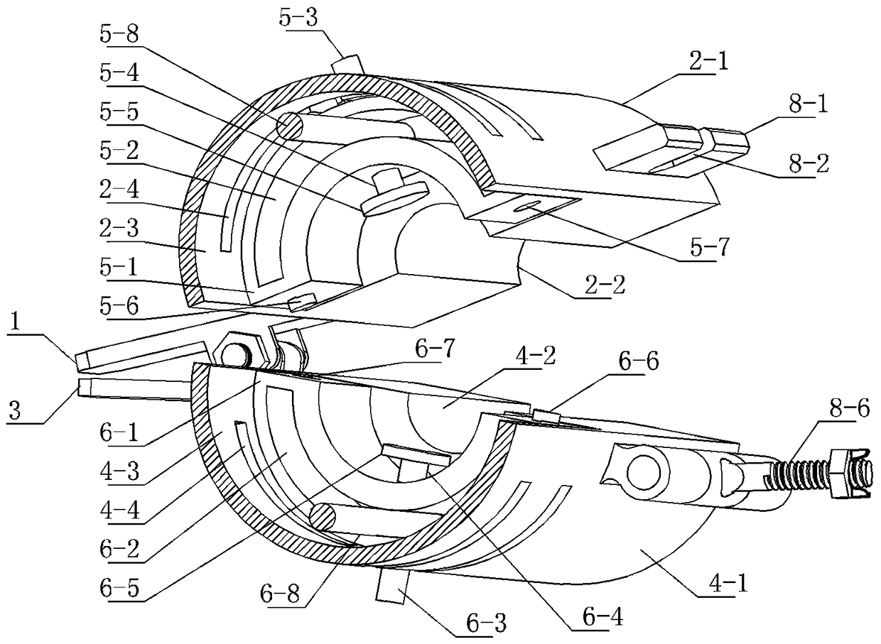 Lead polishing device