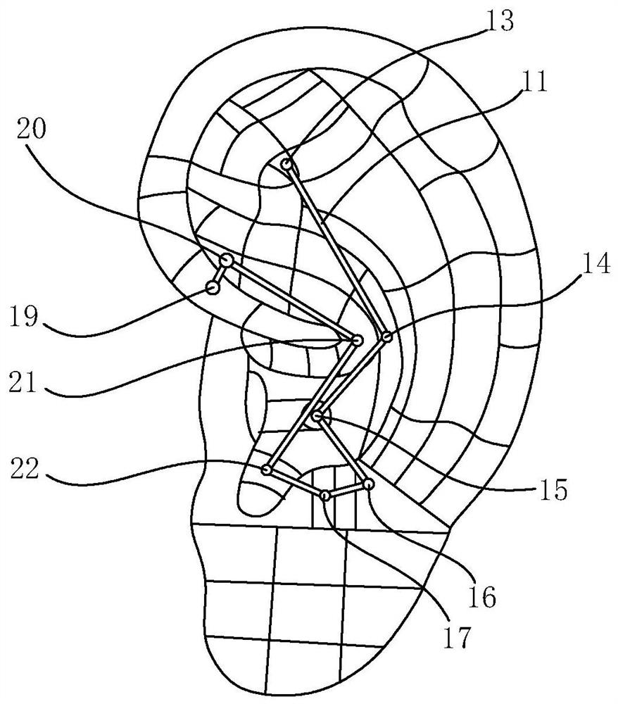 Ear acupoint model