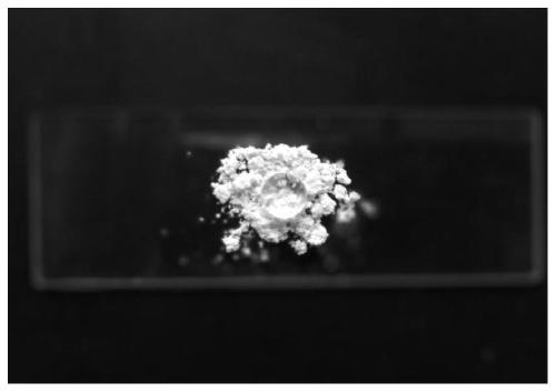 A temperature-sensitive microencapsulated inhibitor for preventing spontaneous combustion of coal and its preparation method