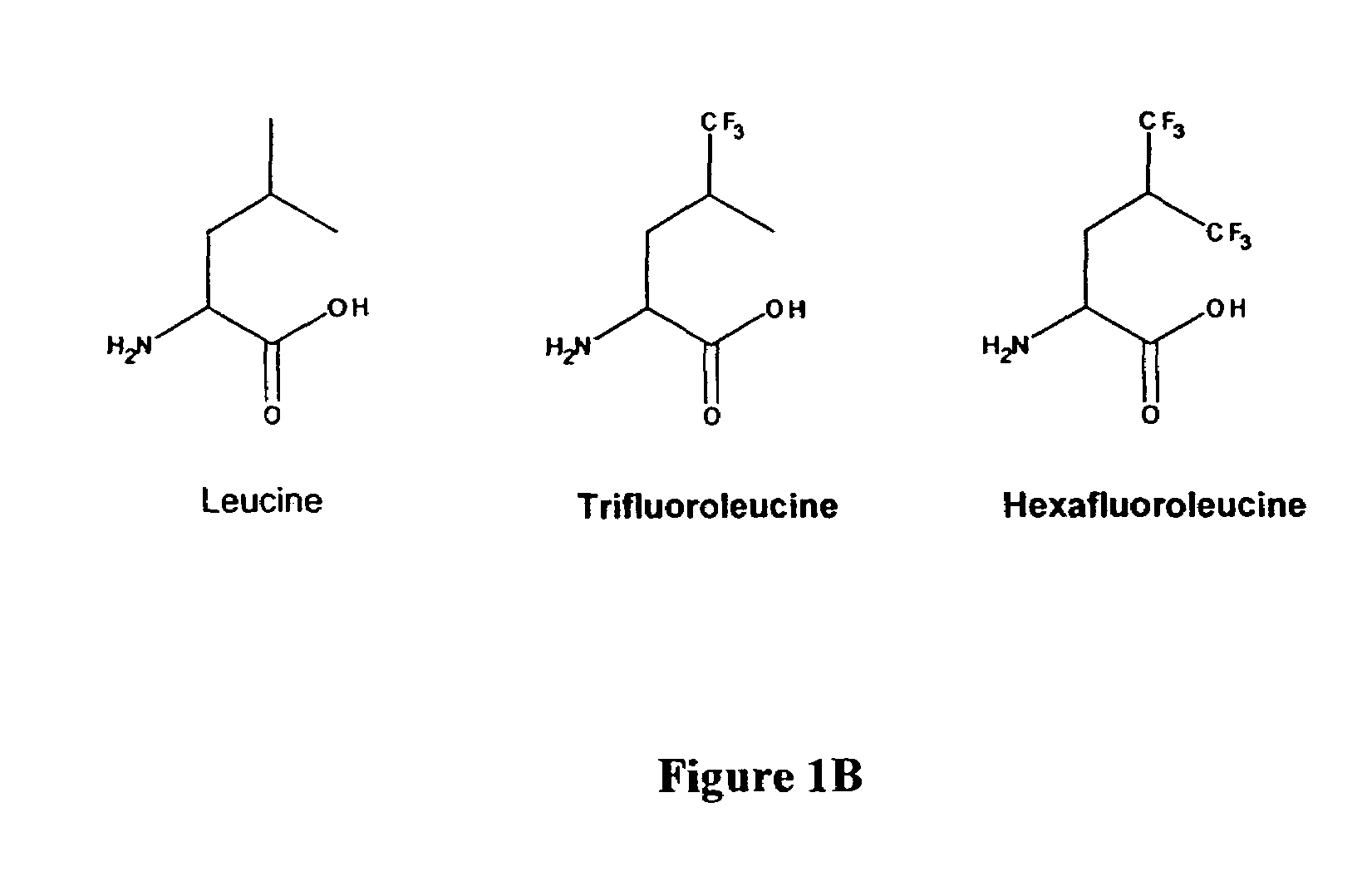 Method for stabilization of proteins using non-natural amino acids