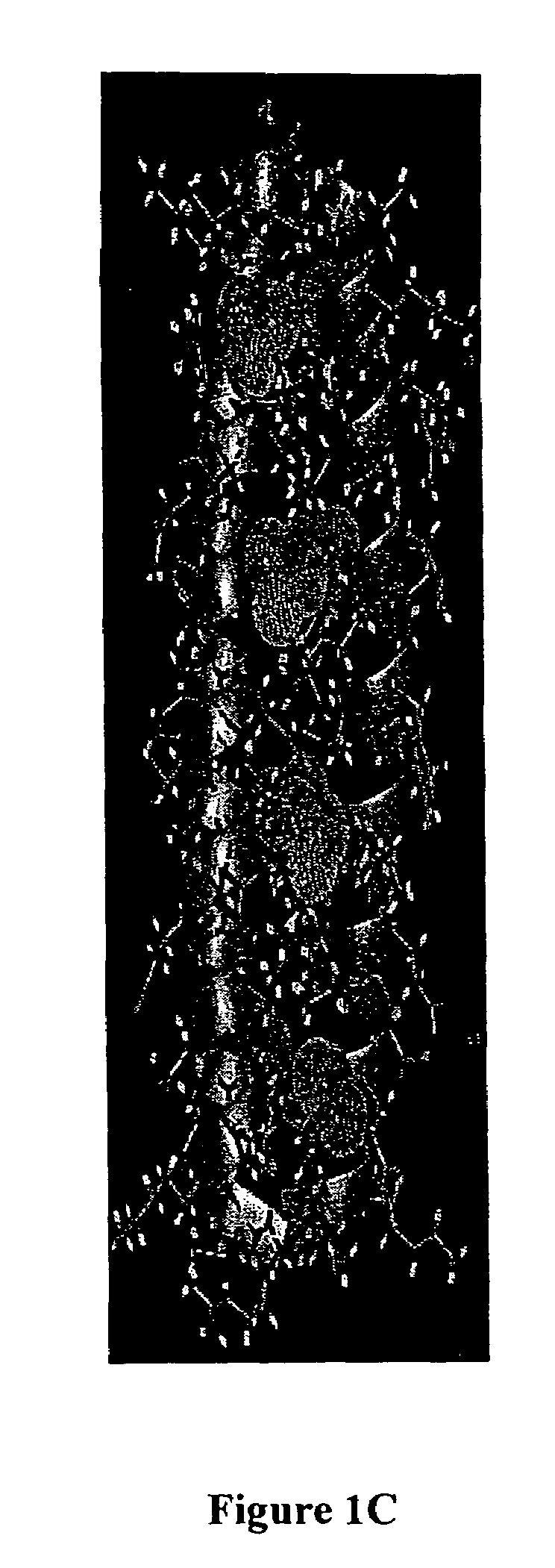 Method for stabilization of proteins using non-natural amino acids