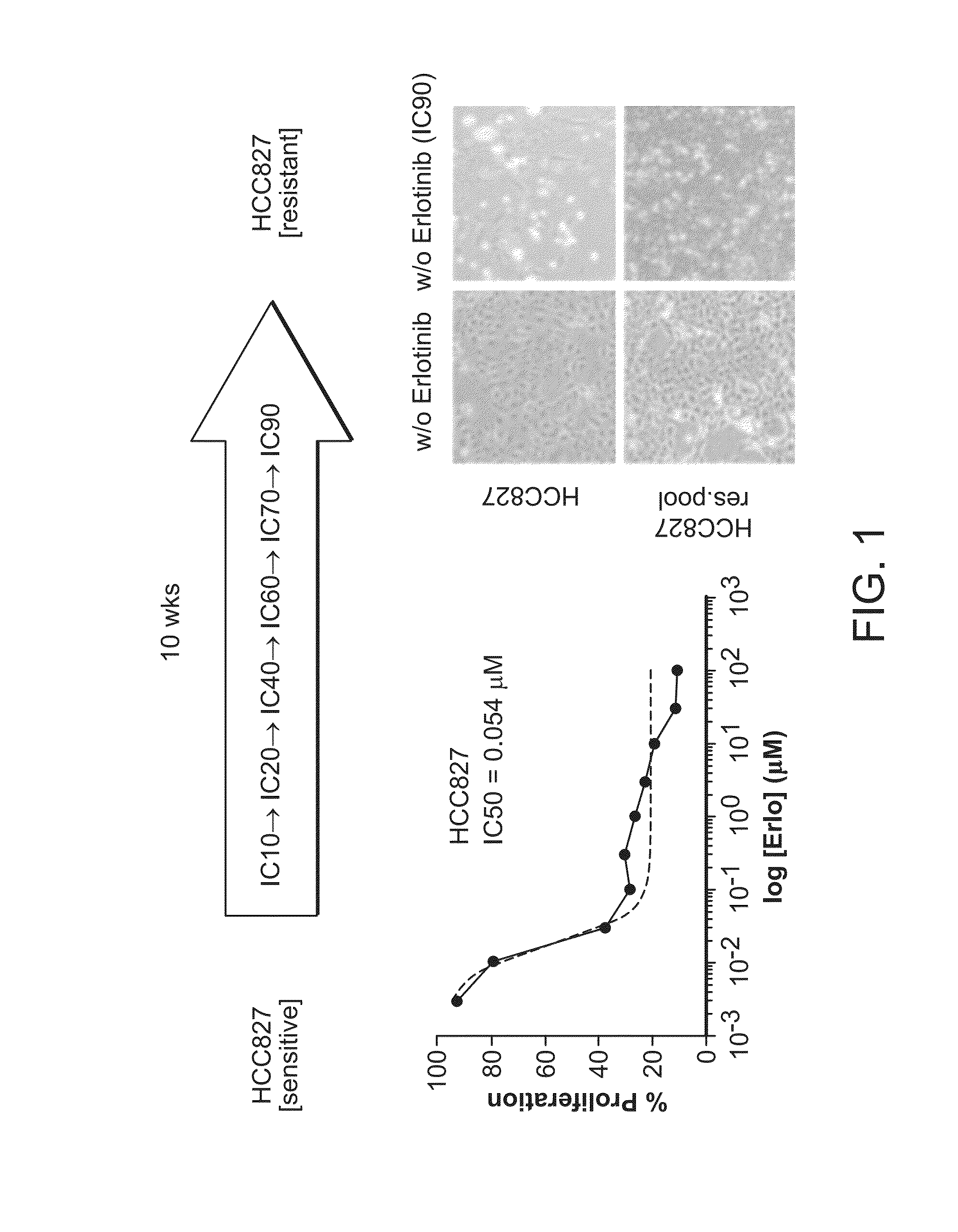 Combination cancer treatments utilizing micrornas and egfr-tki inhibitors