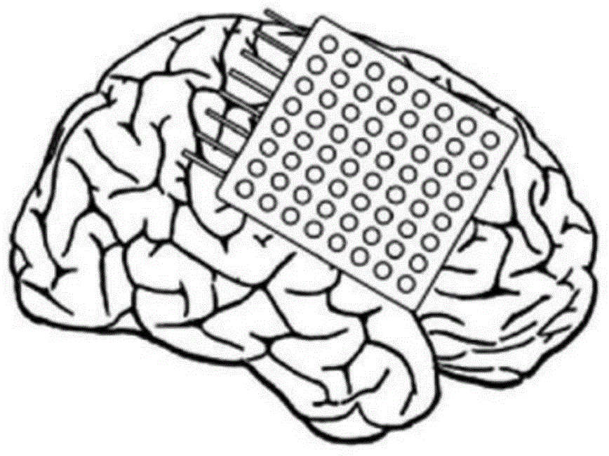 Characteristic extraction method of motor imagery electroencephalogram signals