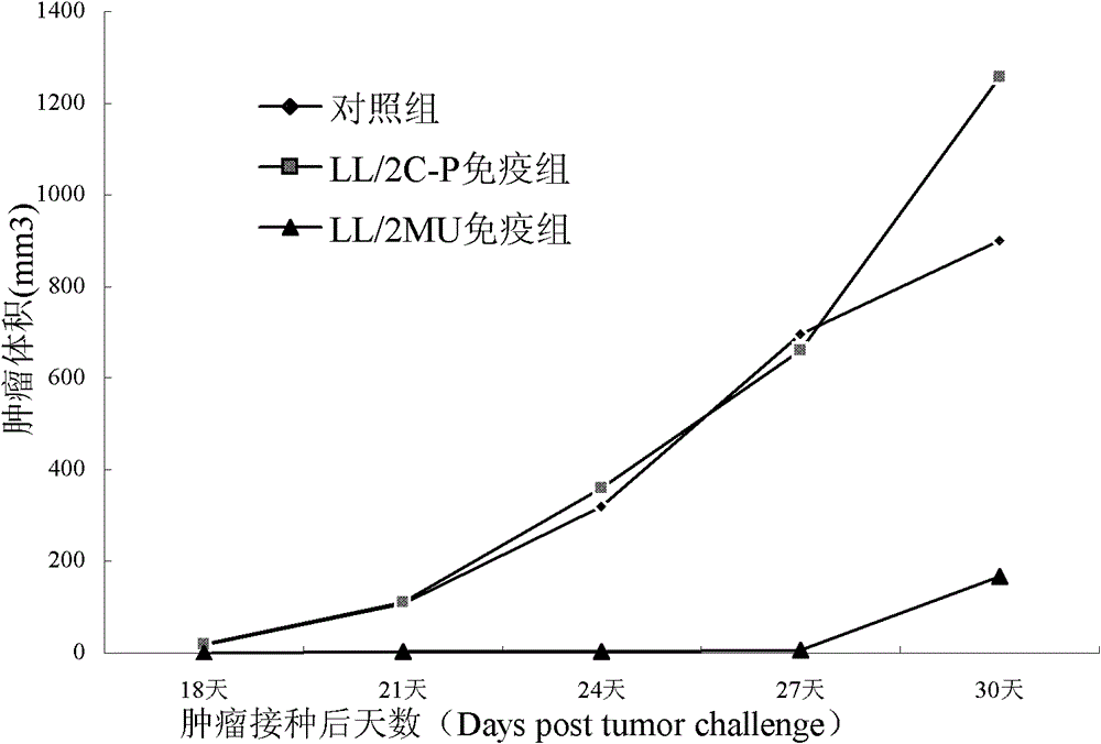 Tumor cell vaccine and preparation method thereof