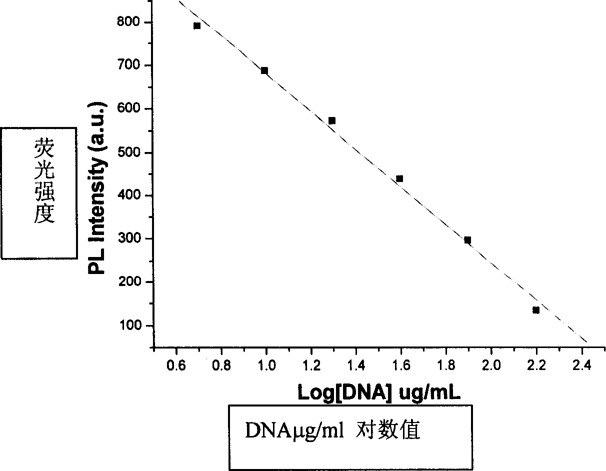 Method for quantitative detection of DNA using quantum dot as fluorescence tracer