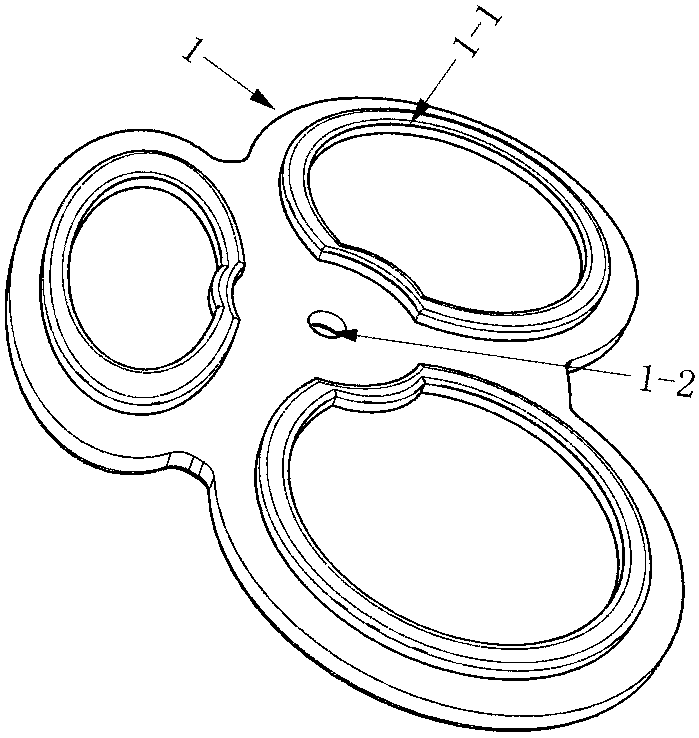 Novel multifunctional treatment apparatus and using method