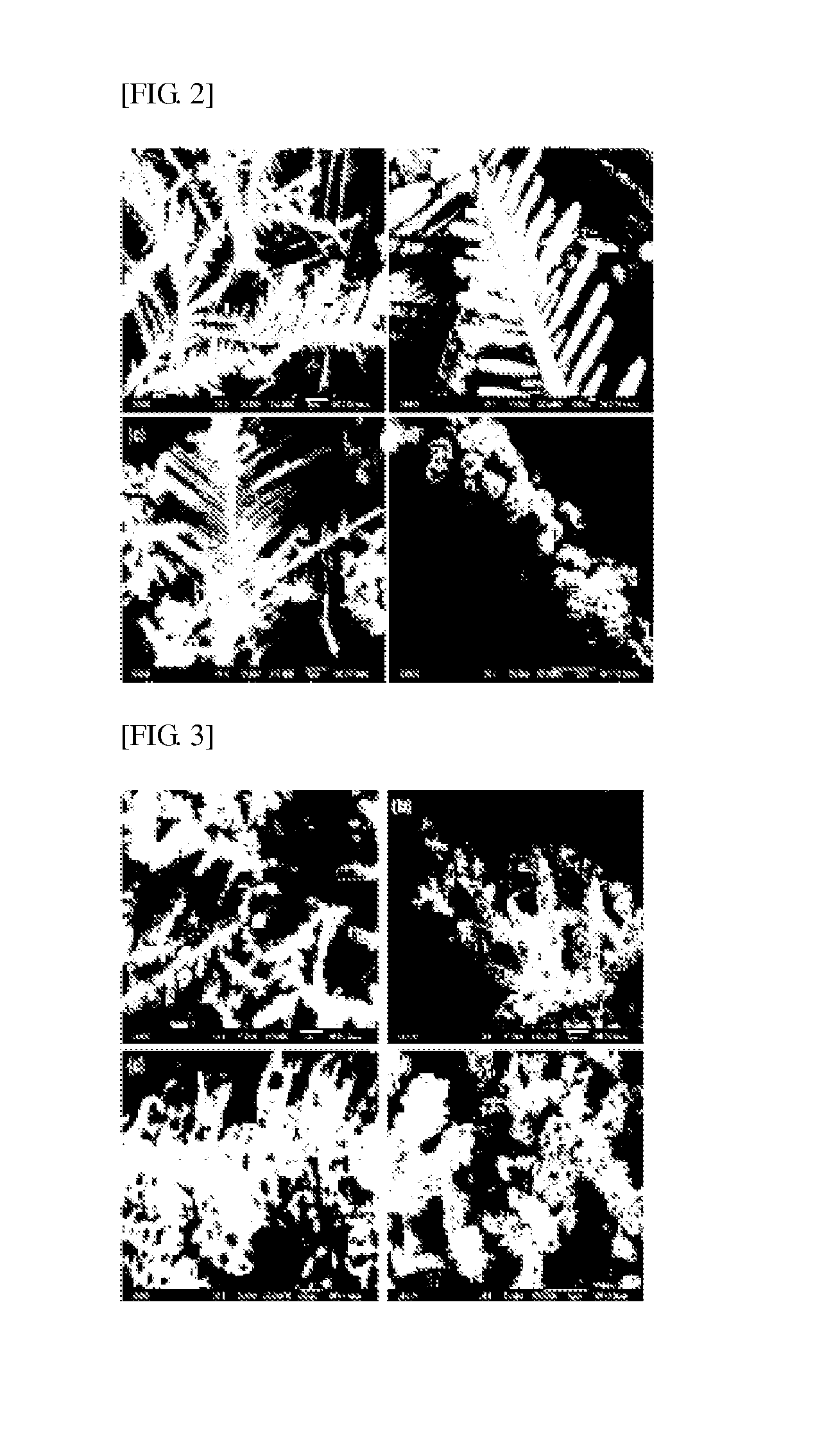 Method of manufacturing powder having high surface area