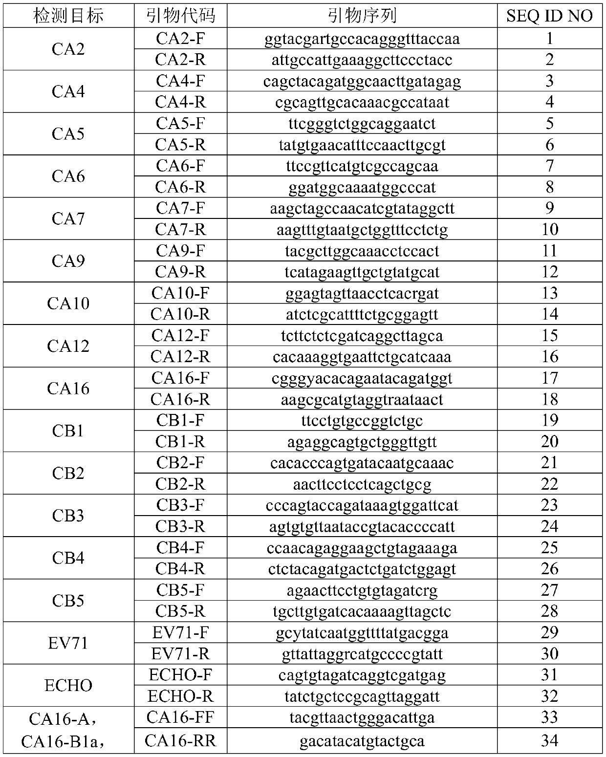 Nucleic acid reagents, kits and systems for detecting enteroviruses