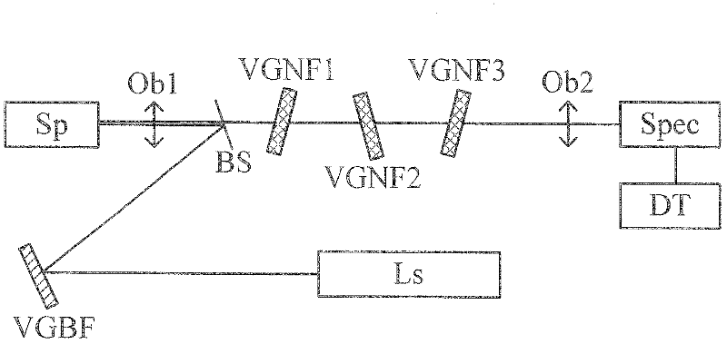 Single-grating Raman spectrum testing system for measuring low-wave-number Raman signals