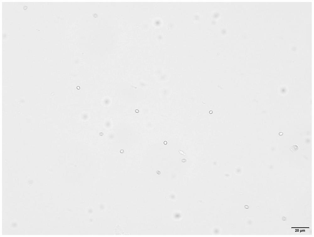 Trichoderma asperellum TZ312, application thereof, volatile metabolite thereof and application of volatile metabolite