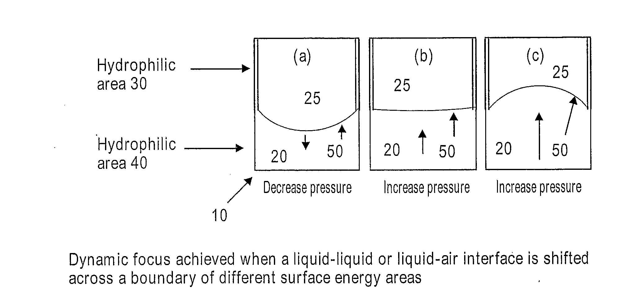 Method for Forming Variable Focus Liquid Lenses in a Tubular Housing