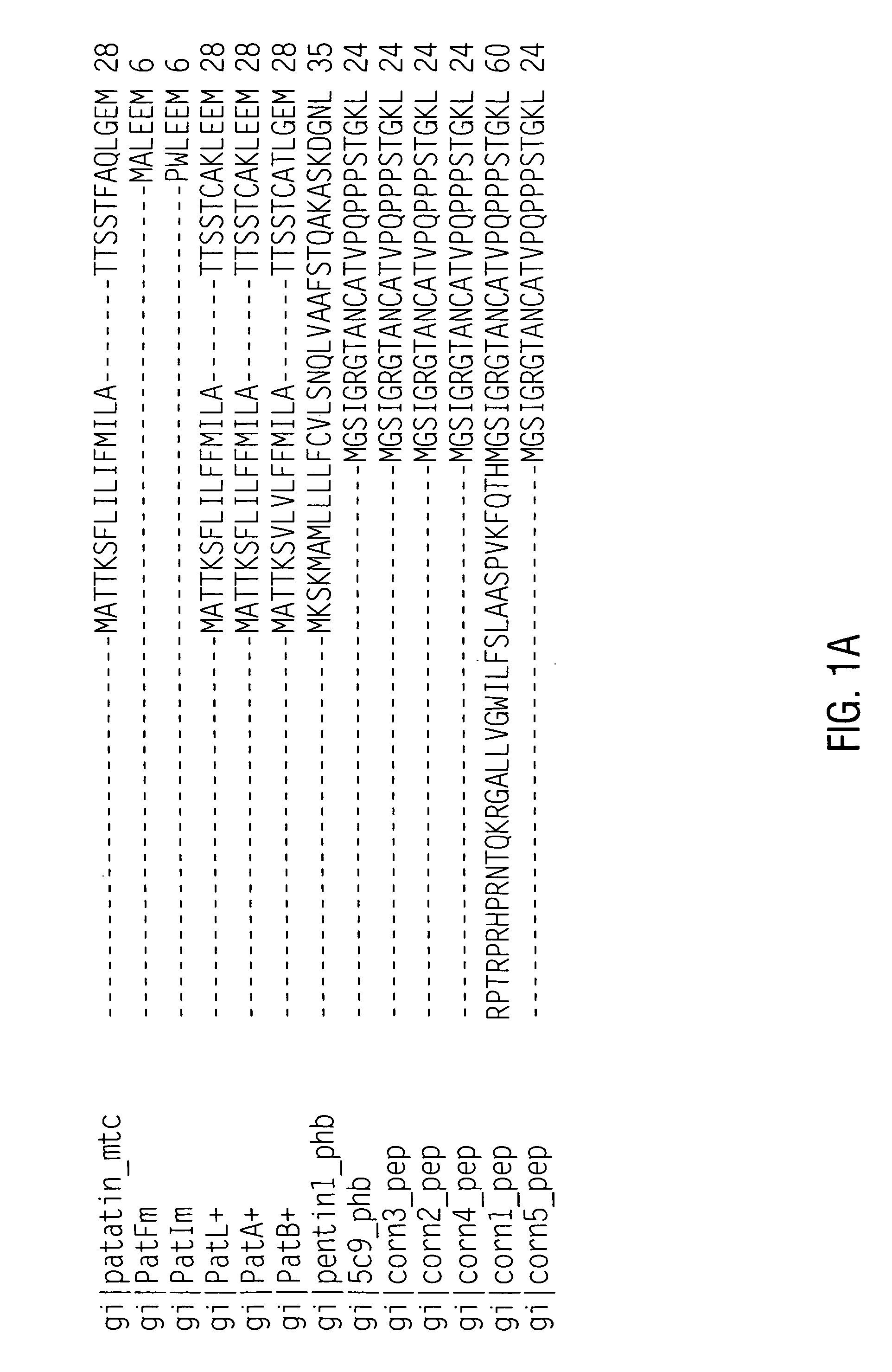 Preparation of deallergenized proteins and permuteins