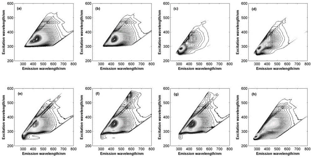 Method for identifying baijiu of different brands by combining three-dimensional fluorescence spectrum and parallel factor