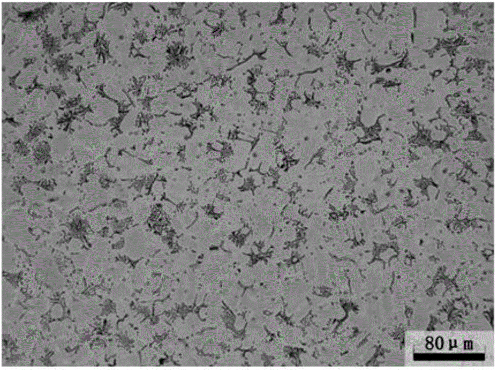 High-rolling-capacity magnesium-rare earth alloy and preparation method thereof