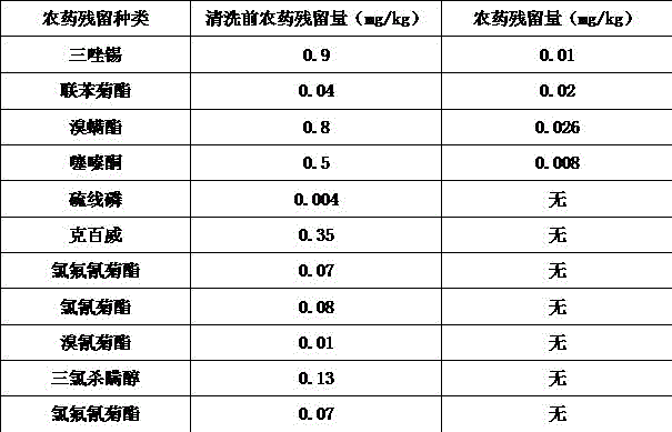 Disinfectant cleaning agent for melons and fruits and production process thereof