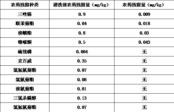 Disinfectant cleaning agent for melons and fruits and production process thereof