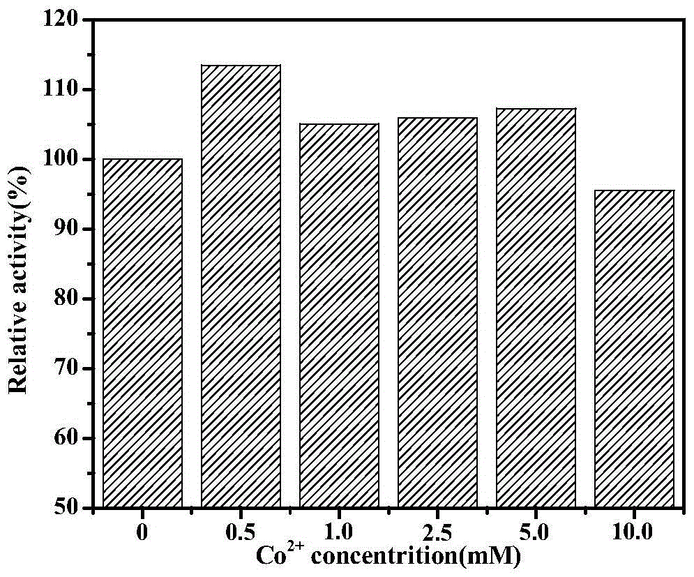 Immobilized recombinant penicillin g acylase and its application