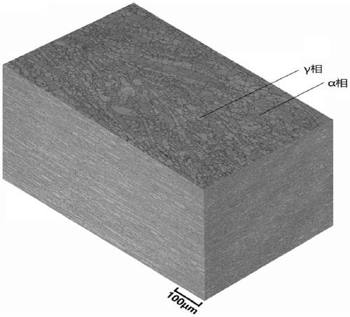 Separation method of two-phase structure in duplex stainless steel, reticular ferrite microporous material