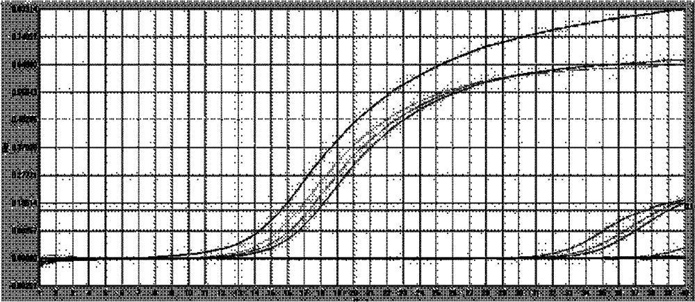 Nucleotide sequence and kit for detecting Burkholderia gladioli