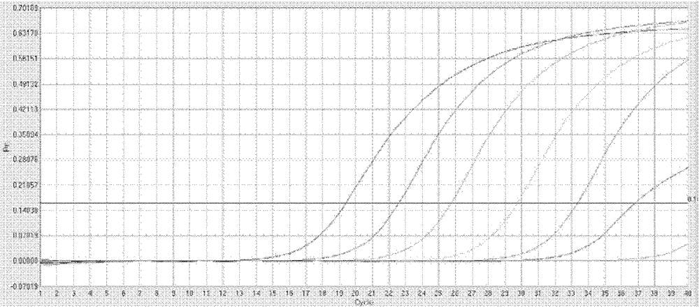 Nucleotide sequence and kit for detecting Burkholderia gladioli