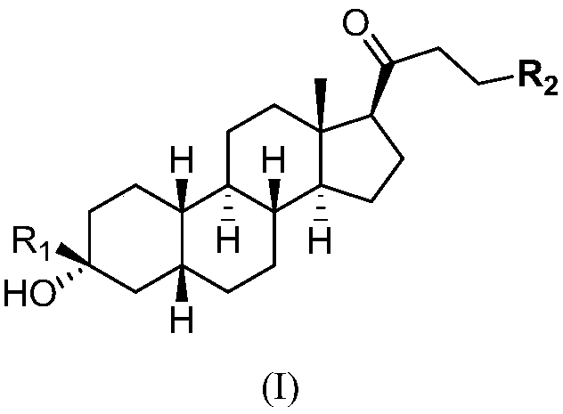 Novel GABA (gamma-aminobutyric acid)  receptor modulator and application thereof