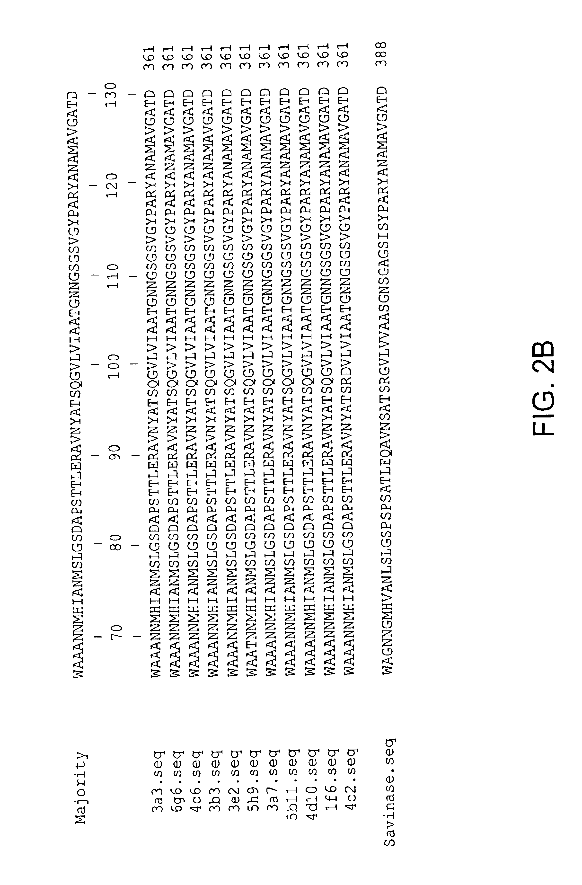 Subtilisin variants