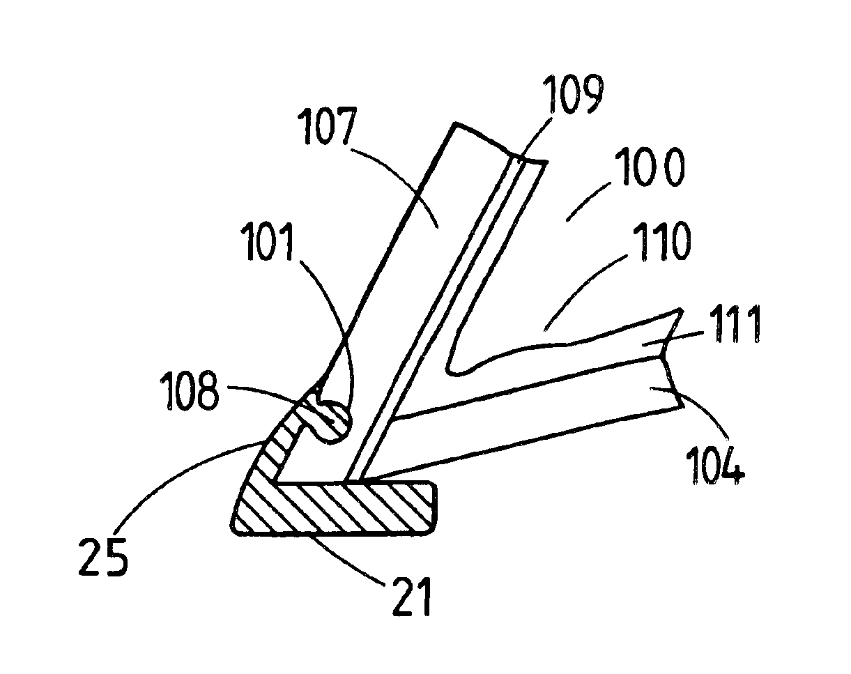 Shoe and shoeing method