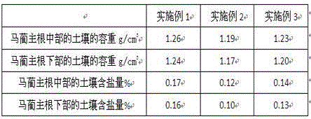 Root salt-controlling method adopting diatomaceous earth diafiltration layer and application of method in iris ensata thunb plantation of saline land