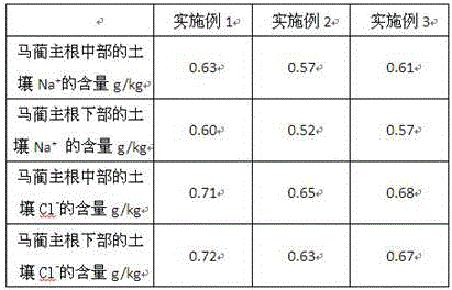 Root salt-controlling method adopting diatomaceous earth diafiltration layer and application of method in iris ensata thunb plantation of saline land