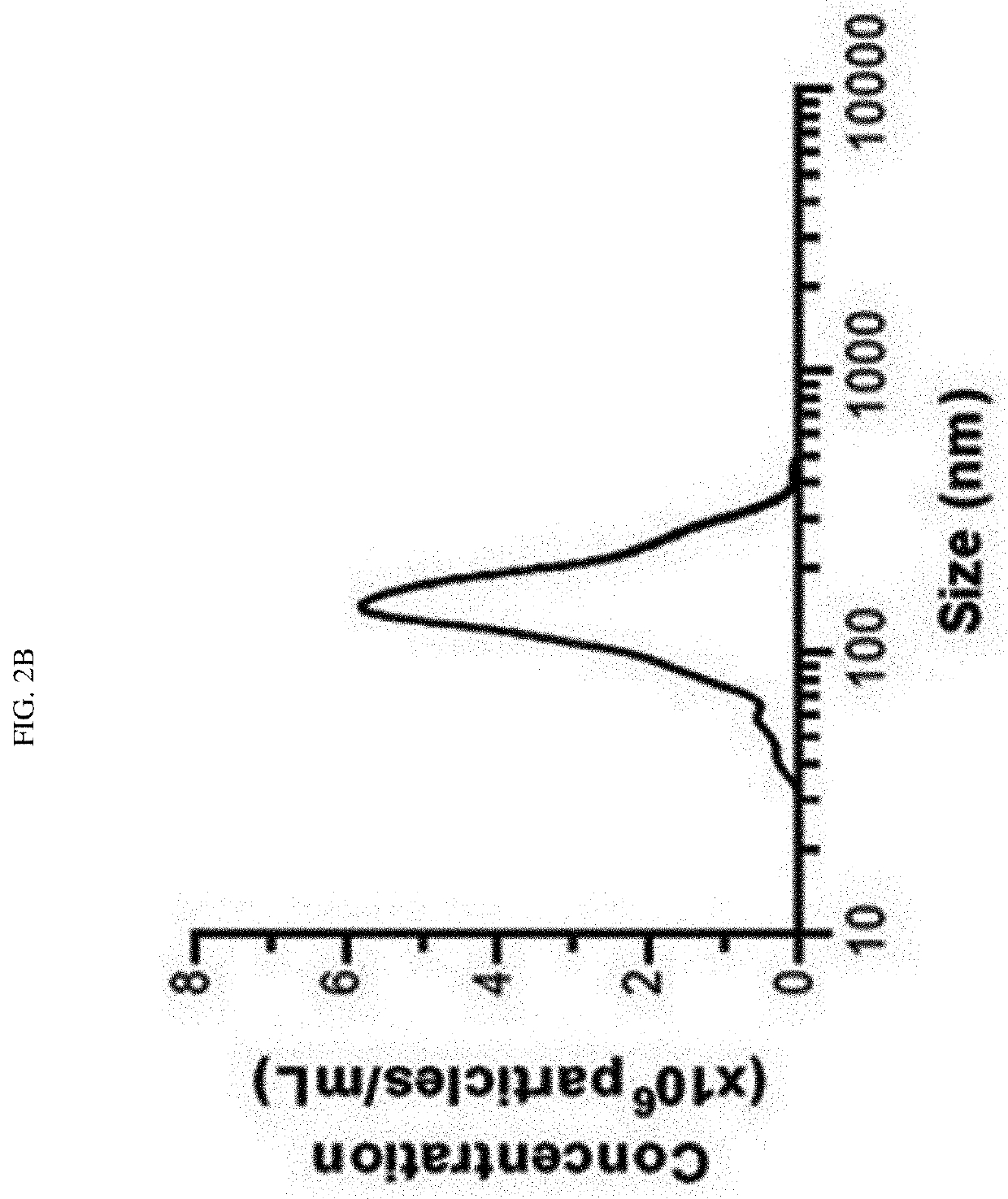 Nanovesicles derived from cell membrane, and use thereof