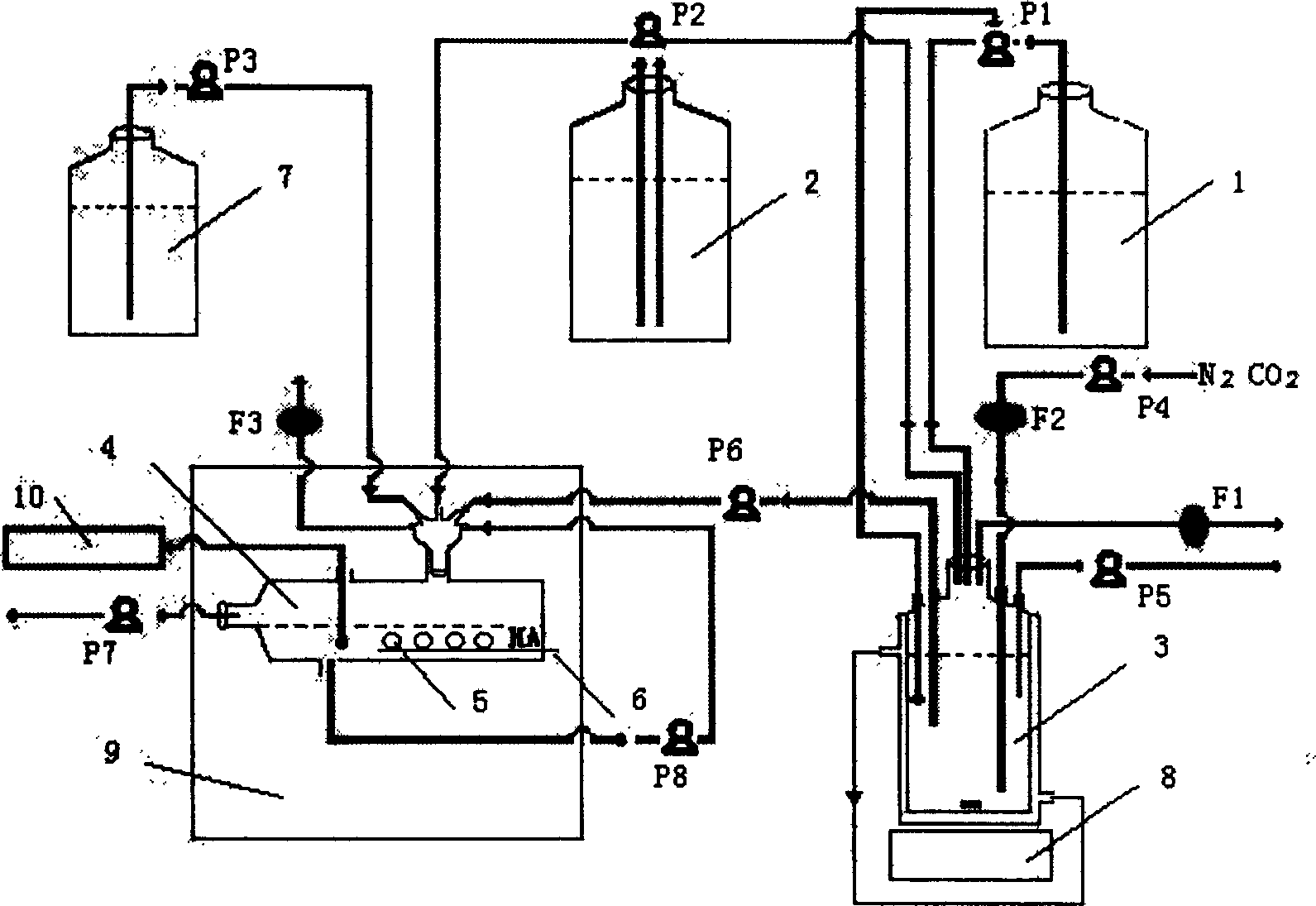 Model of mouth cavity biomembrane and method for forming mouth cavity biomembrane