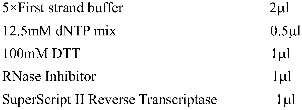 Construction method of dated bloodstain miRNA high-throughput sequencing library