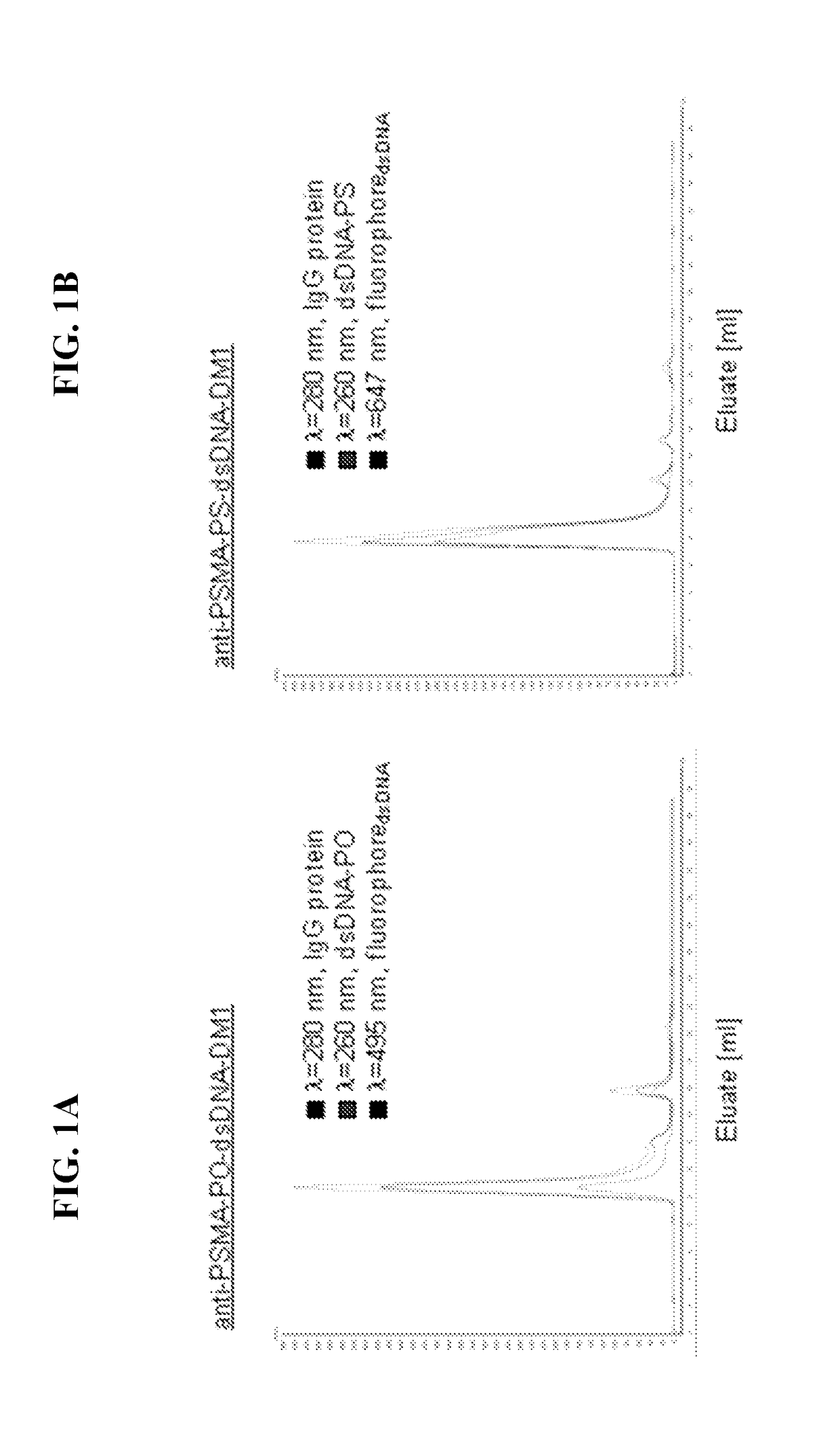 Therapeutic cell internalizing conjugates