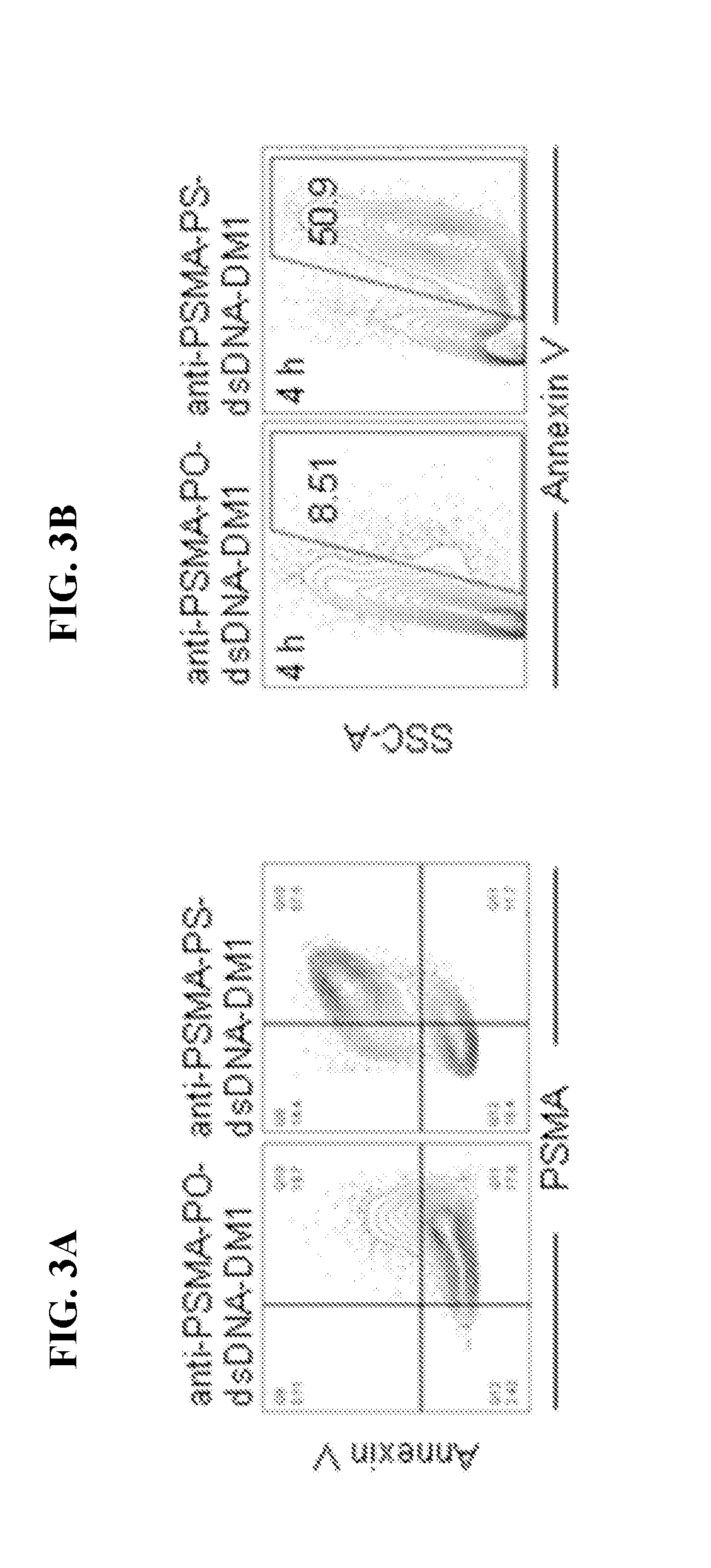 Therapeutic cell internalizing conjugates