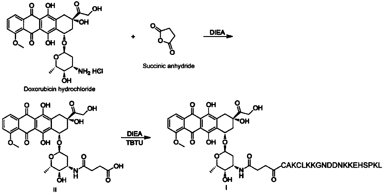 Peptide-drug conjugate of target placenta-like chondroitin sulfate A, and preparation method and application of peptide-drug conjugate