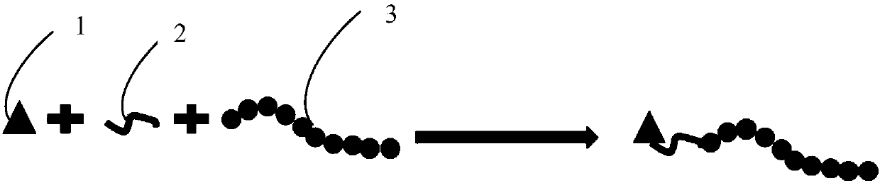 Peptide-drug conjugate of target placenta-like chondroitin sulfate A, and preparation method and application of peptide-drug conjugate