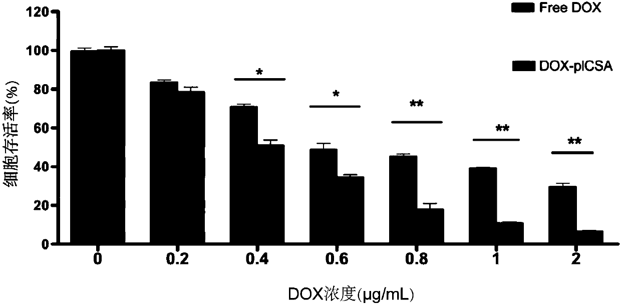 Peptide-drug conjugate of target placenta-like chondroitin sulfate A, and preparation method and application of peptide-drug conjugate