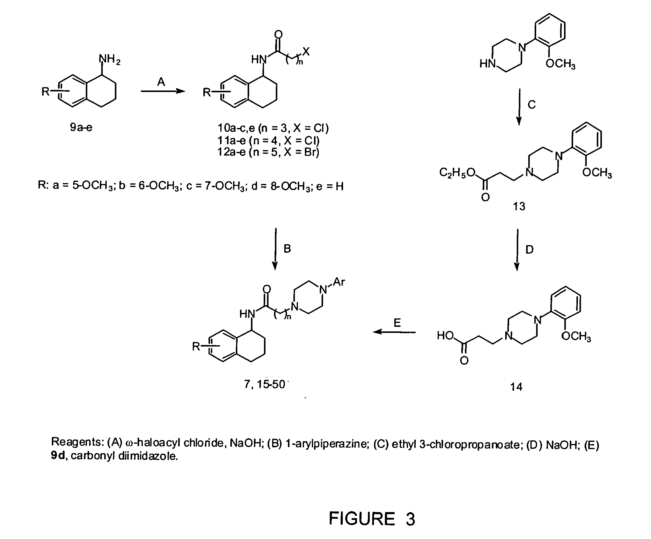 N-(1,2,3,4-tetrahydronaphthalen-1-yl)-4-phenyl-1-piperazinealkylamide derivatives, and therapeutic use thereof as 5-HT7 receptor ligands